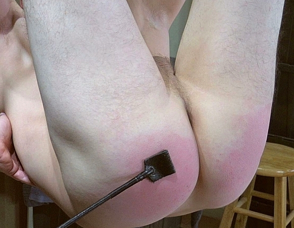 171118101-trevor-suspended-by-all-fours